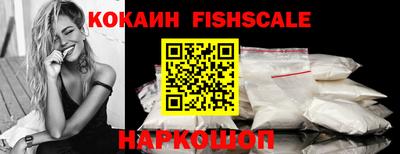 крисы Камышлов