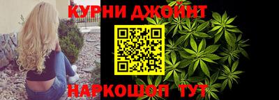 крисы Камышлов