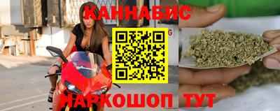 крисы Камышлов