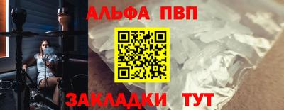jwh Кингисепп