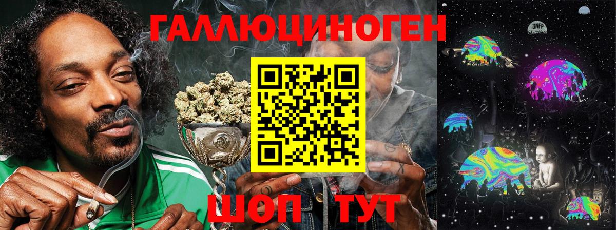 Псилоцибиновые грибы мицелий Дивногорск